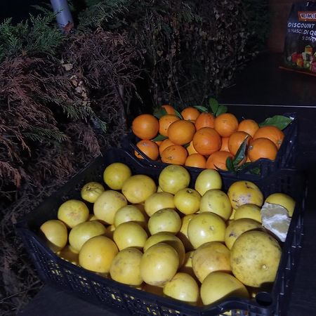 Agriturismo Cele Celle Ligure Zewnętrze zdjęcie