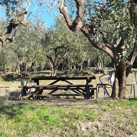 Agriturismo Cele Celle Ligure Zewnętrze zdjęcie