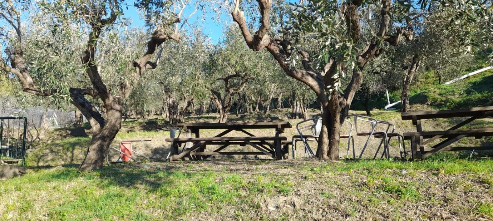 Agriturismo Cele Celle Ligure Zewnętrze zdjęcie