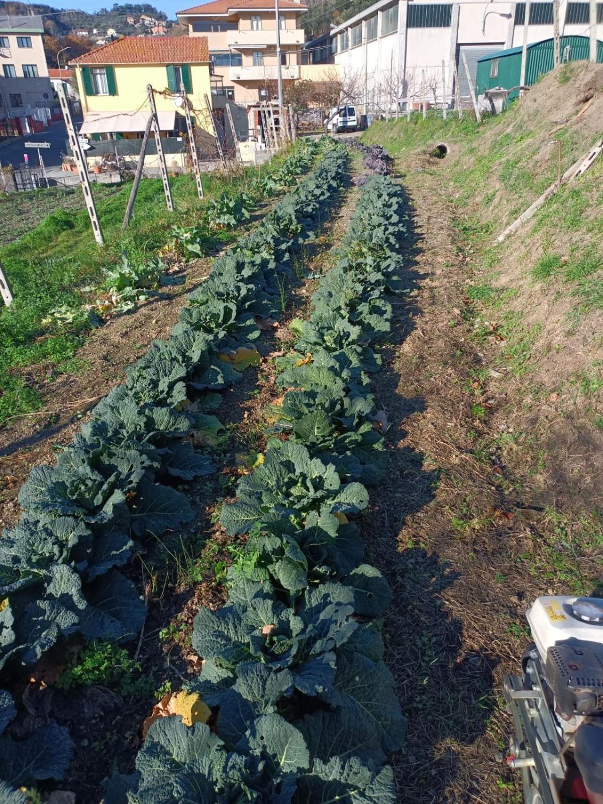 Agriturismo Cele Celle Ligure Zewnętrze zdjęcie