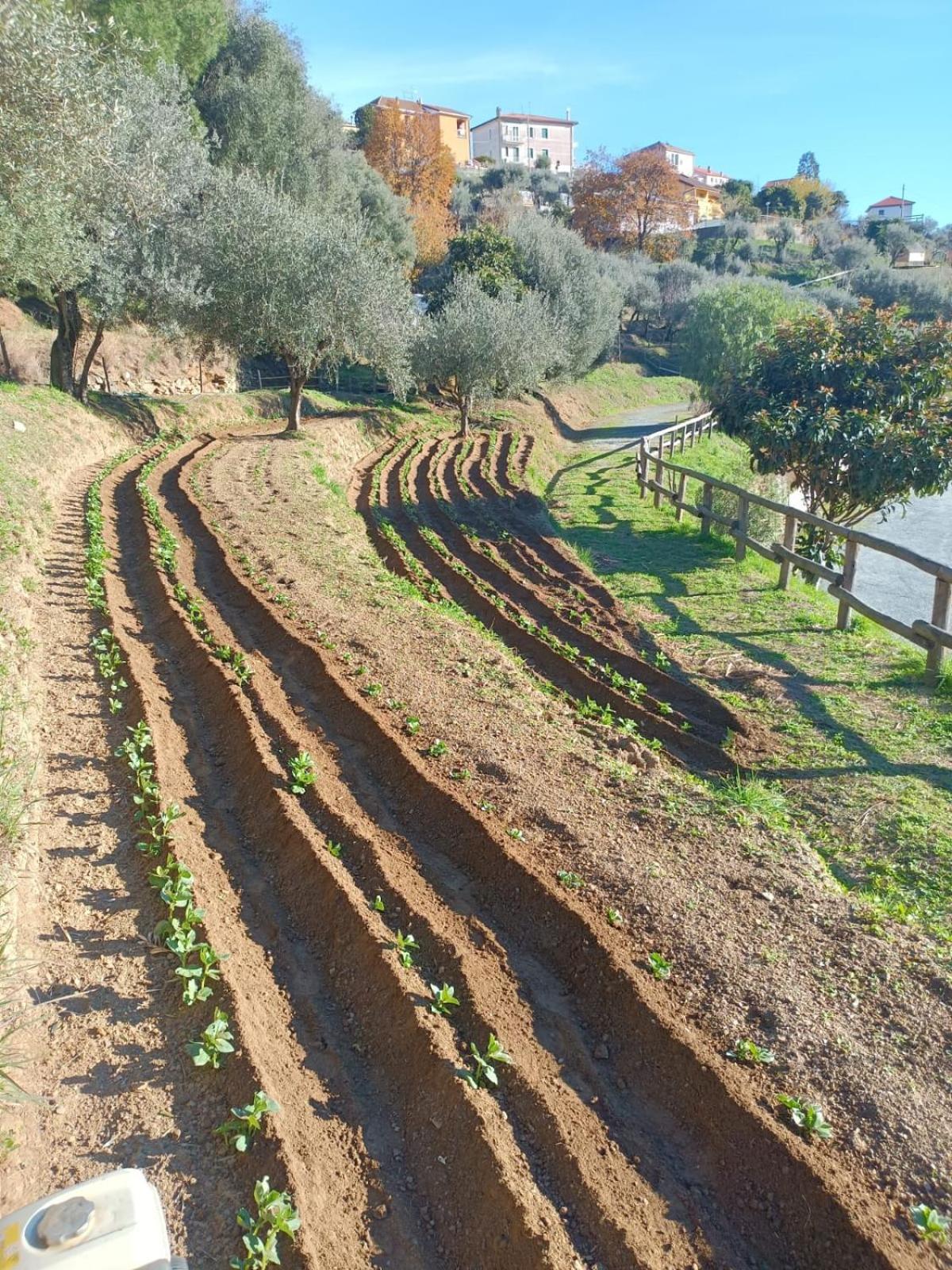 Agriturismo Cele Celle Ligure Zewnętrze zdjęcie