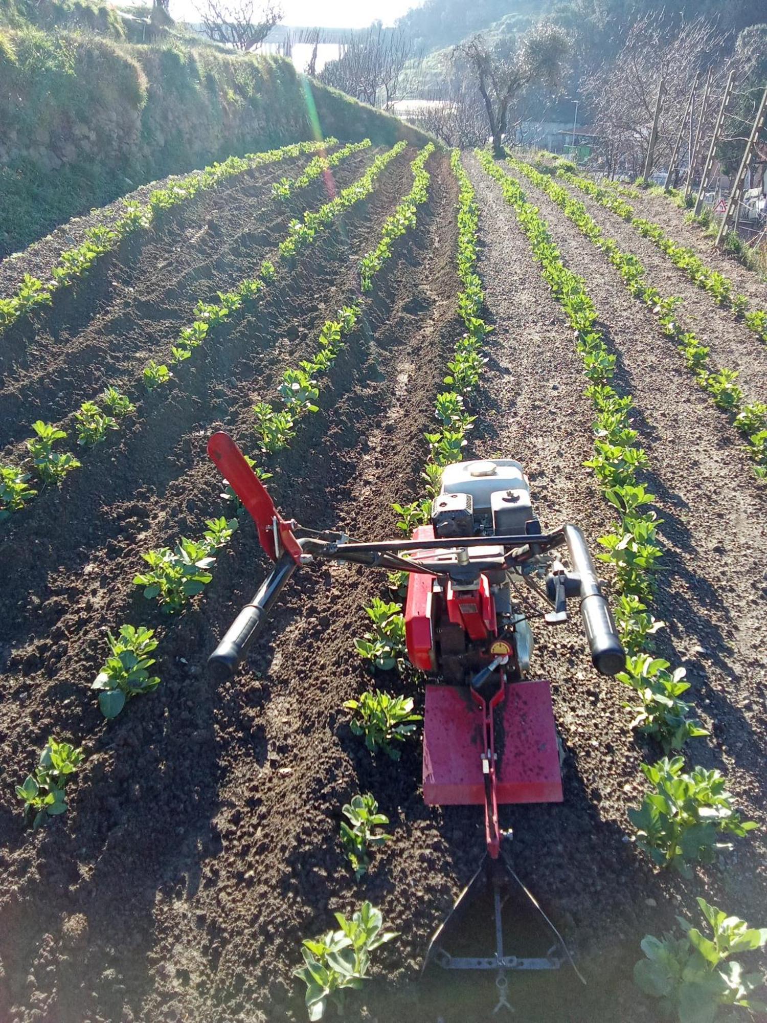 Agriturismo Cele Celle Ligure Zewnętrze zdjęcie